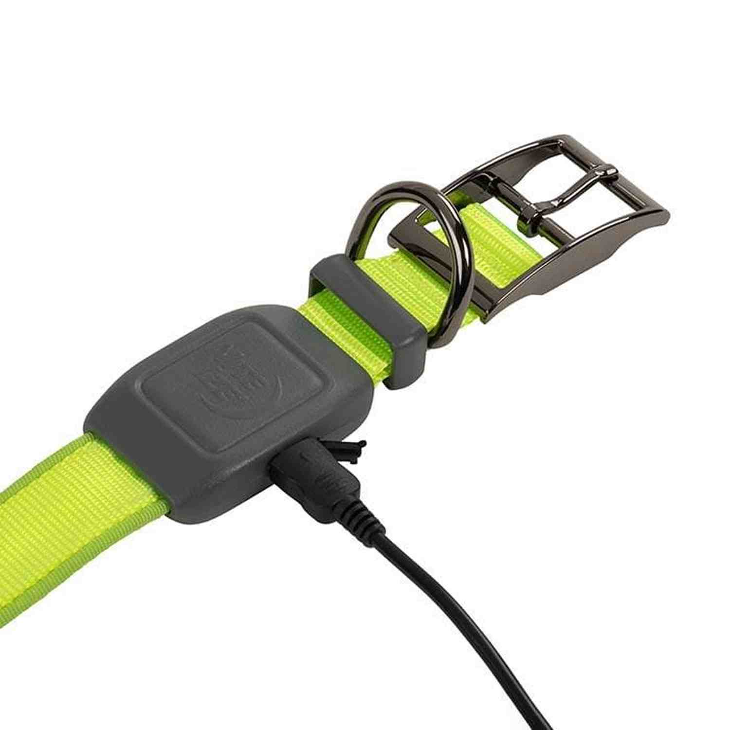 Nitedog Rechargeable Led Collar - Image 3